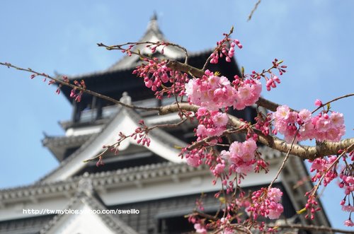 日本九州● 煙花三月上九州