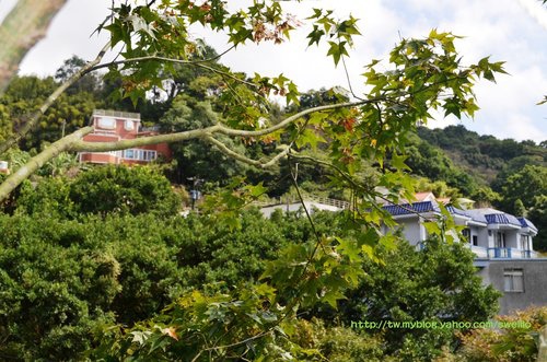 草山● 台北奧萬大