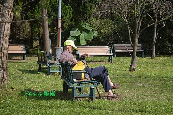 趁暖冬陽光下，再造訪我家後花園—草山公園，只見這位老先生單獨一人，享受陽光，當我來回走動公園拍照，這位老先生兀坐多時，在陽光的催化下他直接翹腿打盹，一副優哉自在樣，相信他並不會寂寞與無聊，因為山林與他做陪，同時自己與他一起做伴；我想再不消多時，我也會重演一樣的畫面，有伴何妨你唱我和，無伴獨賞風聲雨聲。