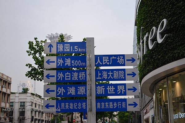DSC_9084.JPG