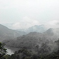 29710.jpg
