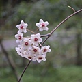 DSC_3721.JPG
