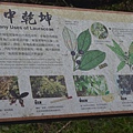 DSC_3745.JPG