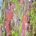 05-1.JPG