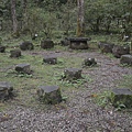06-2.JPG
