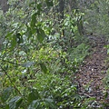 07-1.JPG