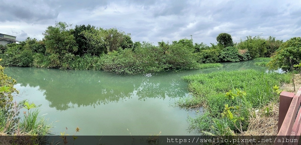 台北洲美● 田園、流水、四月天