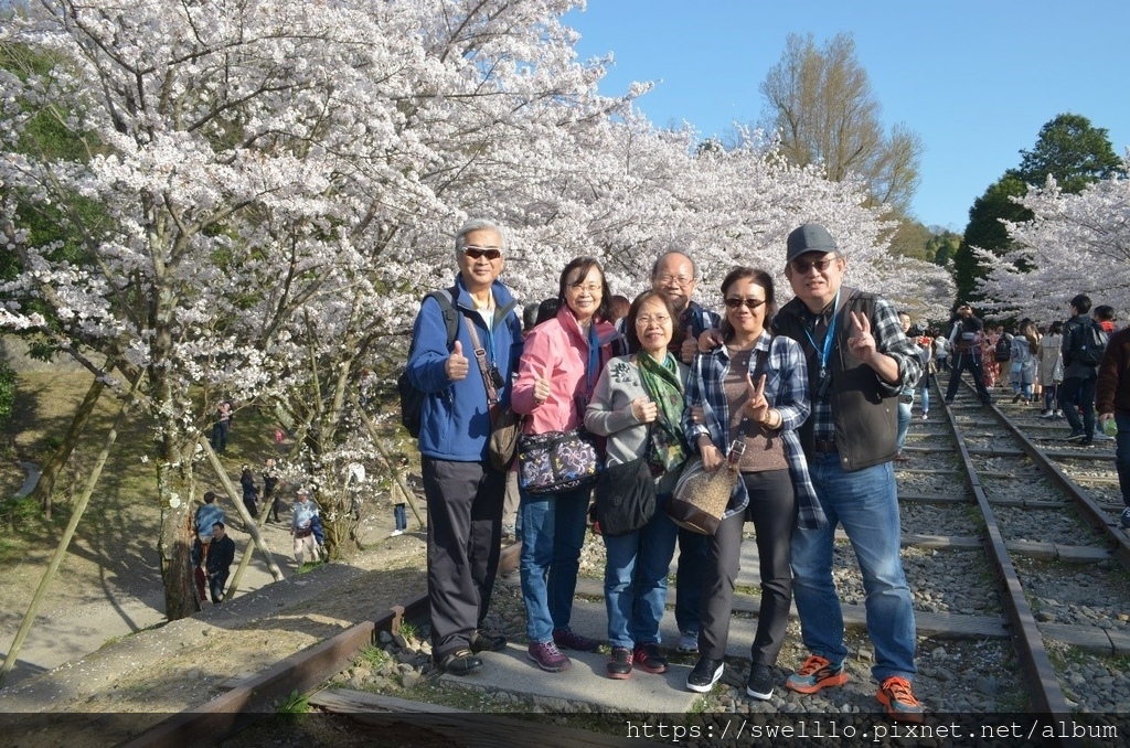 日本京都● 煙花三月上京都