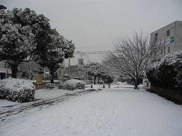 snow 014.jpg