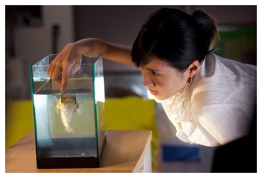 【新闻】河豚耍膨胀《河豚》潘之敏吴慷仁激情戏慰安