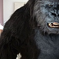 丹妮芙和黑猩猩擦出愛苗《死期大公開》勇奪奧斯汀影展最佳喜劇電影