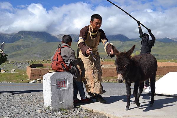 阿拉姜色_ (11).JPG