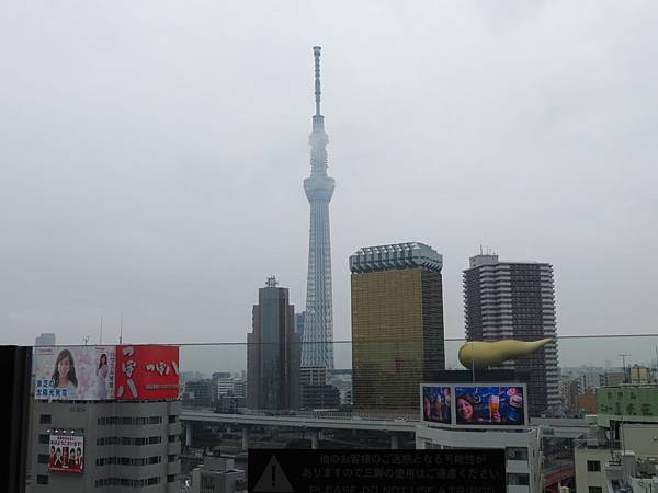 IMG_0012.JPG IMG_0012.JPG