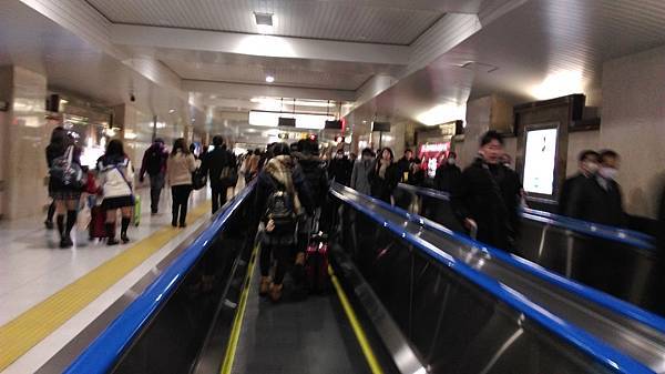 IMAG0396.jpg IMAG0396.jpg