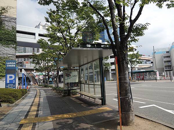 1050805 (12).JPG 1050805 (12).JPG