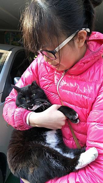 IMG20180207092051.jpg IMG20180207092051.jpg