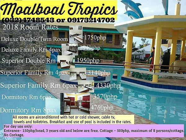 Moalboal Tropics.jpg