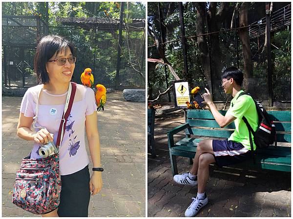 Safari word-bird2.jpg