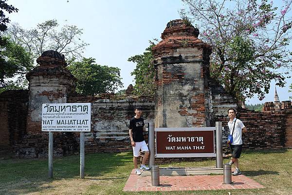 7瑪哈泰寺 (2).JPG