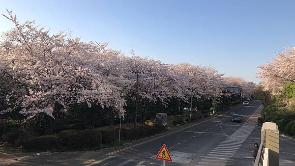 2019春韓國釜山Day2迎月路 (18).jpg