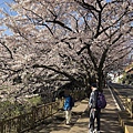 2019春韓國釜山Day2迎月路 (11).JPG