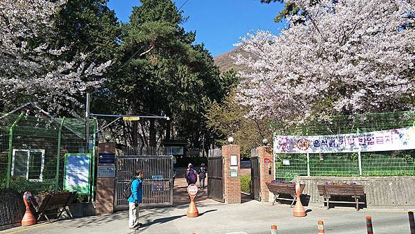 鎮海內水面環境生態公園(2).jpg