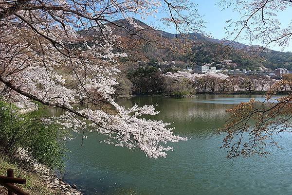 鎮海鏡面生態公園 (8).JPG