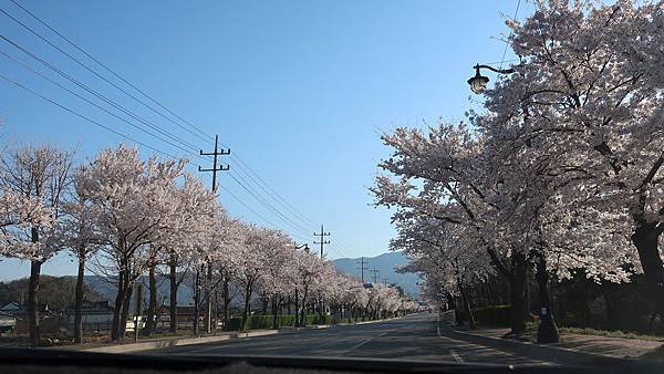 搭計程車.JPG 搭計程車.JPG