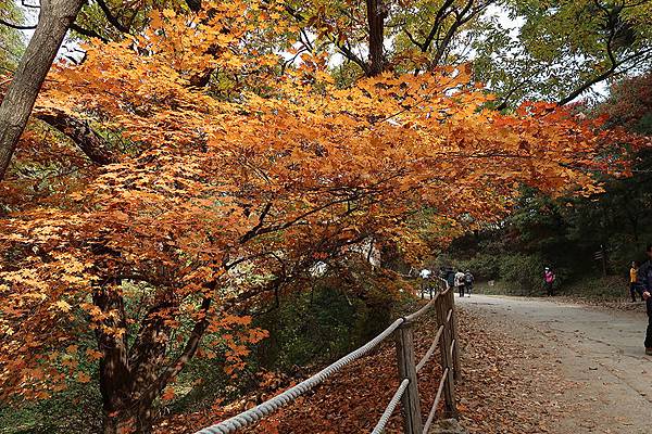 南漢山城 (29).JPG