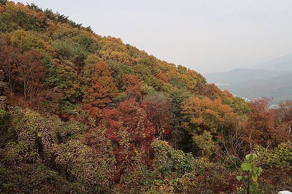 南漢山城 (42).JPG