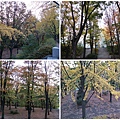 南山公園 (5).jpg