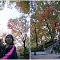 南山公園 (4).jpg