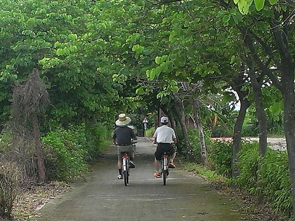 大林自行車道 (20).jpg