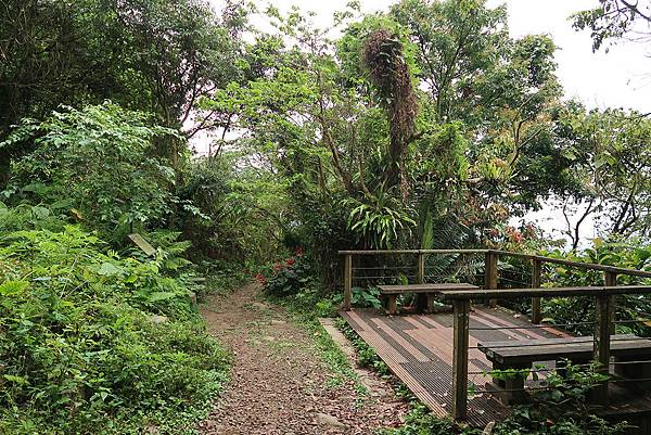 1090412獨立山步道 (13).JPG 1090412獨立山步道 (13).JPG