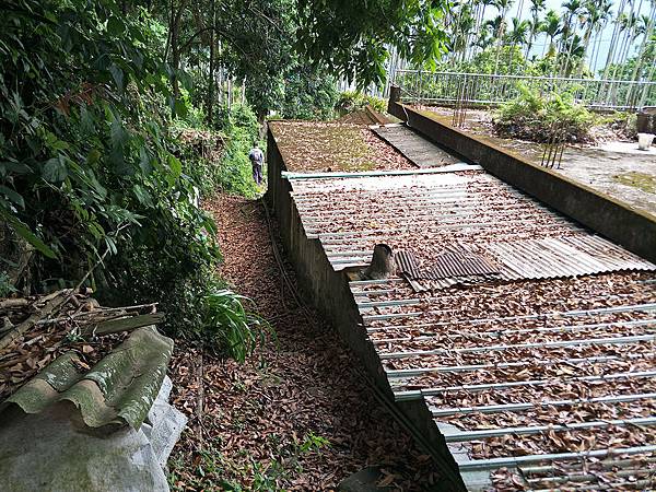 1090412獨立山步道 (30).jpg 1090412獨立山步道 (30).jpg