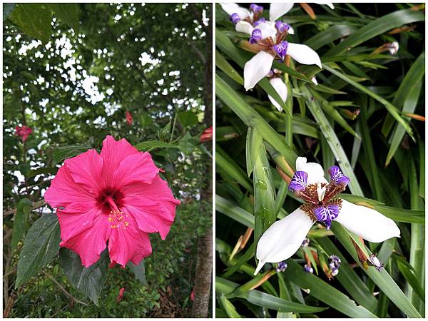 1090412獨立山步道 (41).jpg 1090412獨立山步道 (41).jpg