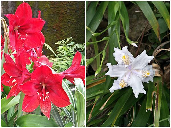 1090412獨立山步道 (42).jpg 1090412獨立山步道 (42).jpg