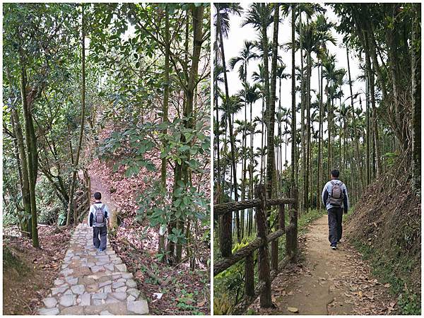 1090412獨立山步道 (43).jpg 1090412獨立山步道 (43).jpg