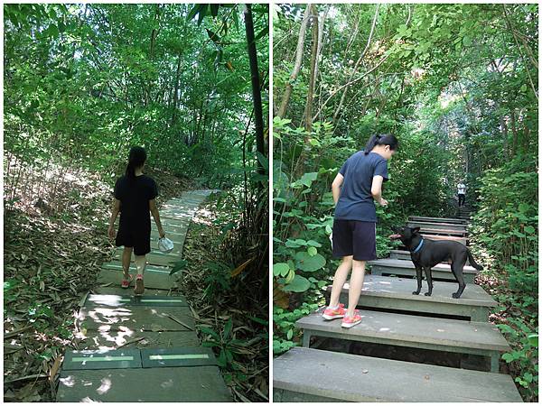 1090719蘭潭後山步道 (6).jpg 1090719蘭潭後山步道 (6).jpg