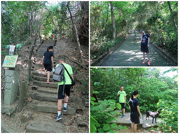 1090719蘭潭後山步道 (3).JPG 1090719蘭潭後山步道 (3).JPG