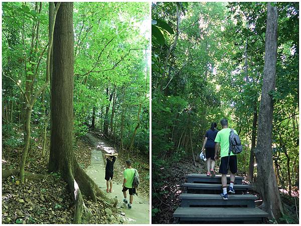 1090719蘭潭後山步道 (7).jpg 1090719蘭潭後山步道 (7).jpg