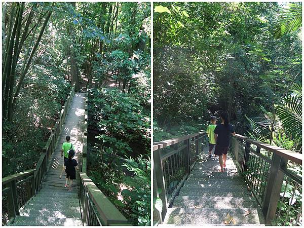 1090719蘭潭後山步道 (10).jpg 1090719蘭潭後山步道 (10).jpg