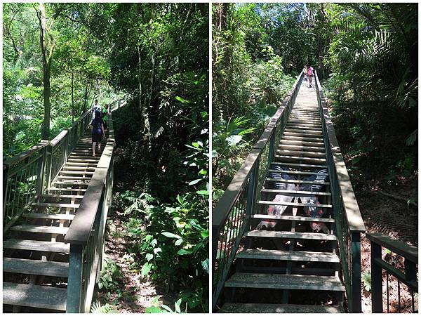 1090719蘭潭後山步道 (15).jpg 1090719蘭潭後山步道 (15).jpg