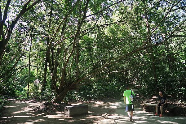 1090719蘭潭後山步道 (13).JPG 1090719蘭潭後山步道 (13).JPG