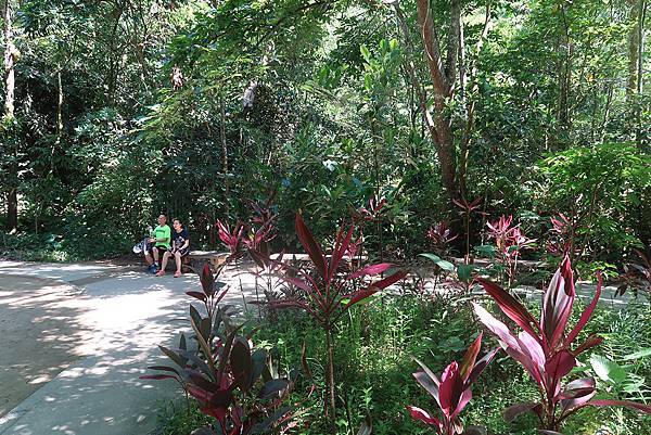 1090719蘭潭後山步道 (14).JPG 1090719蘭潭後山步道 (14).JPG