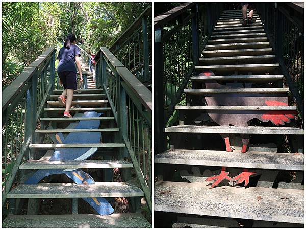 1090719蘭潭後山步道 (16).jpg 1090719蘭潭後山步道 (16).jpg