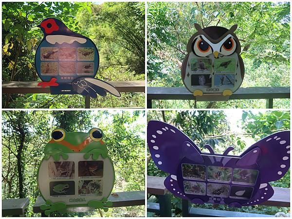 1090719蘭潭後山步道 (17).jpg 1090719蘭潭後山步道 (17).jpg