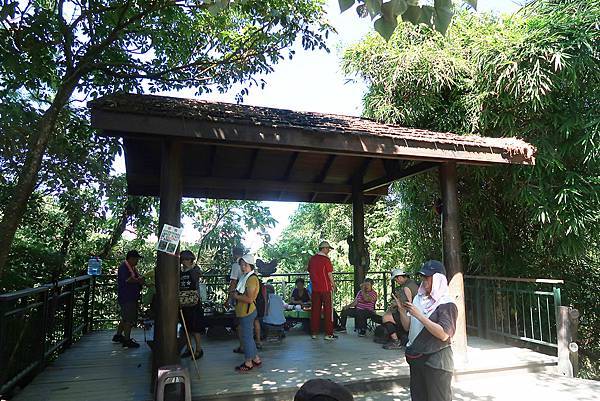 1090719蘭潭後山步道 (19).JPG 1090719蘭潭後山步道 (19).JPG