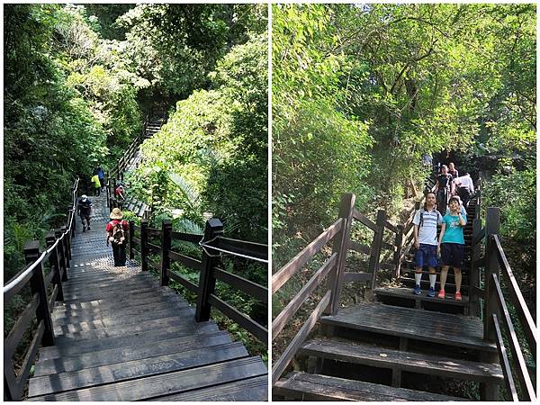 1090808大坑步道 (7).jpg 1090808大坑步道 (7).jpg