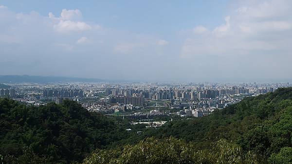 1090808大坑步道 (8).JPG 1090808大坑步道 (8).JPG